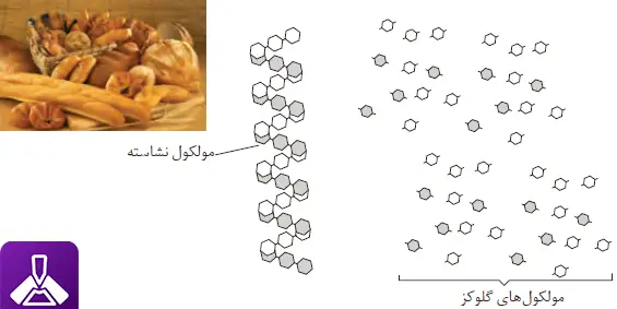 الگوی تبدیل نشاسته به مونومرهای سازندۀ آن