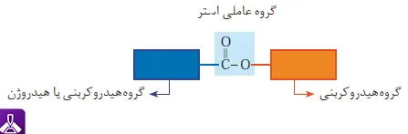 نمایش گروه عاملی استر